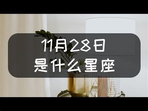 11月28星座